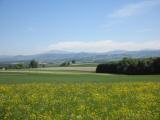 schner Fernblick zum tscher, Scheiblingstein und Drrenstein 