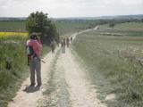  Rckweg auf dem Hhenrcken 