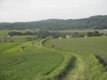  Marathonis bergab nach Sichelbach 