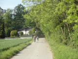  Marathonis auf dem Weg nach Hinterholz 