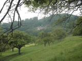  Fernblick zum Kloster Hochstra 