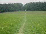  Wanderweg bergab ber schne Wiesen 