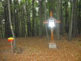  ein schnes Wegkreuz im Wald des Eichbergs 