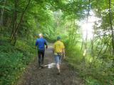  Wanderweg entlang der "Drre Liesing" 