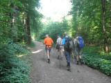  schne Waldwege 