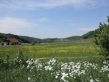  Blick ber das Hochfeld Richtung Dornbach 