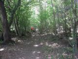  Wanderweg bergan auf den Buchkogel 