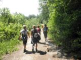  eine Wandergruppe auf der Anhhe 