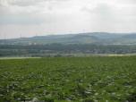  Fernblick nach Herzogenburg 