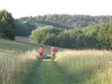  Wanderweg bergab in den Judgraben 