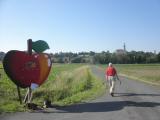  Wanderweg nach St. Martin a. d. Raab 