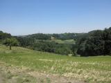 Fernblick nach Hartwebereck 