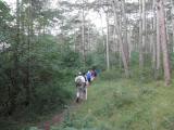  Marathonis auf schnen Waldwegen unterwegs 