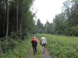  schner Waldweg 