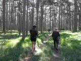  Marathonis unterwegs auf schnen Waldwegen 