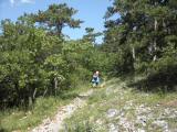  Wanderroute bergan auf dem Rcken des Streinbruchs 