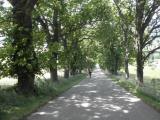  Wanderroute durch eine schne Allee 