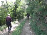  weiter auf schnen Waldwegen 