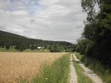  Wanderweg in der Ebene nach Brunn a.d.Schneebergbahn 