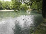  schner Teich im Stadtpark 