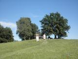  Wanderroute am Kreuzweg zur Kapelle auf dem Kalvarienberg 