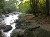  Wanderweg entlang der Feldaist 