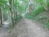  Wanderweg bergan nach Wartberg ob der Aist 