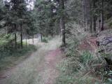  Wanderroute auf schnen Waldwegen 