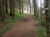  Wanderweg bergan nach Streith 