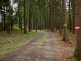  Wanderweg durch den Wald des Stierbergs 