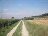  Wanderroute wieder entlang von Feldern 