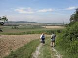  Wanderweg auf der kleinen Anhhe 