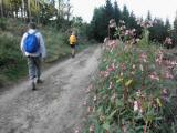  Wanderweg entlang der Bltenpracht 