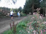  Wanderweg entlang der Bltenpracht 