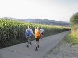  Fernblick nach Niederwegscheid