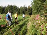  Wanderweg entlang der Bltenpracht 