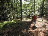  Wanderweg bergan auf dem Lusen 