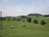  Fernblick nach Hinter-Nebelberg 