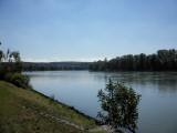  Blick auf die Donau flussaufwrts 