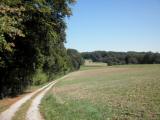  Wanderweg auf der Anhhe 