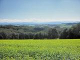  schner Fernblick 