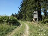  Wanderweg auf der Anhhe am Waldesrand 