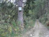  Wanderweg entlang des kleinen Kamps 