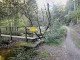  Wanderweg entlang des kleinen Kamps 