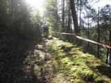  Wanderroute bergan auf schnen Wanderwegen 