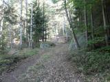  Wanderweg bergan auf dem Felsberg 