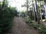  Wanderweg bergan auf dem Felsberg 