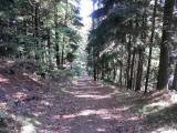  Wanderweg steil bergab 