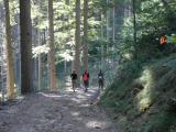  Wanderweg bergab vom Felsberg 