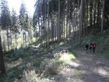  Wanderweg bergab vom Felsberg 